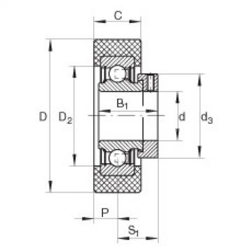 Подшипник RCSMB25/65-FA106 INA