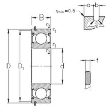 Подшипник 6010-2Z-NR NKE