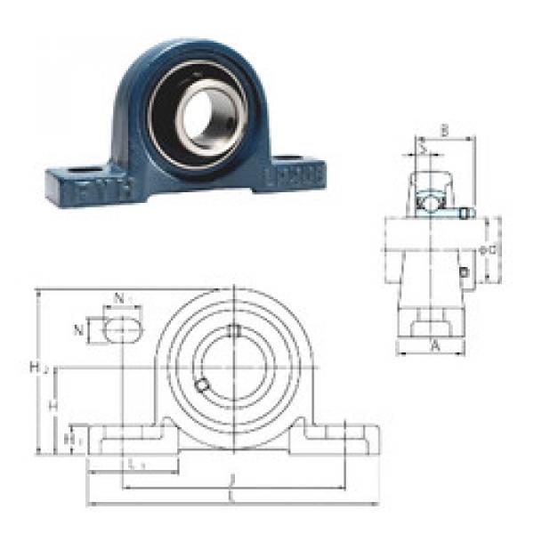 Подшипник BLP208 FYH #1 image